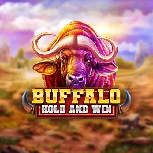 Buffalo Hold And Win