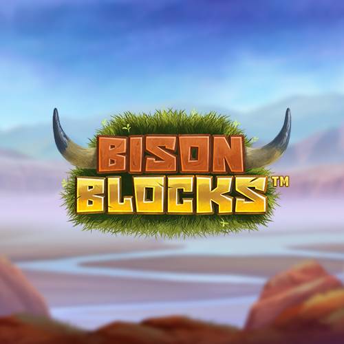 Bison Blocks