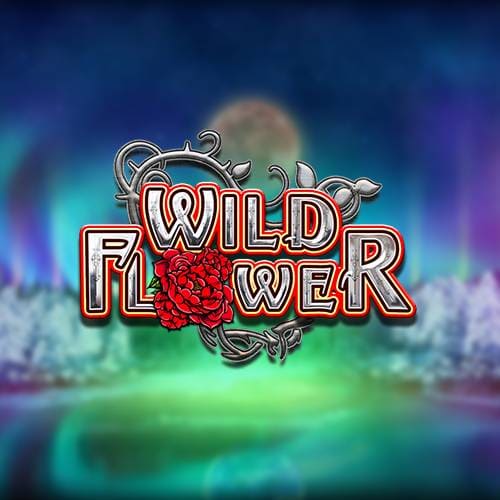 Wild Flower