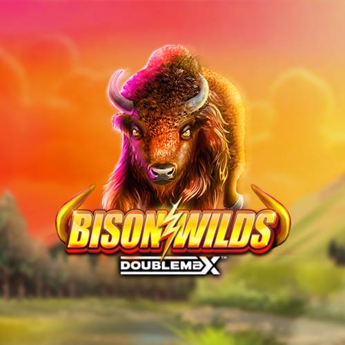 Bison Wilds DoubleMax