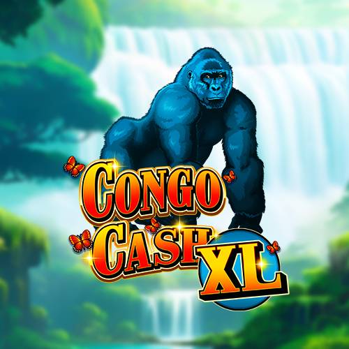 Congo Cash XL