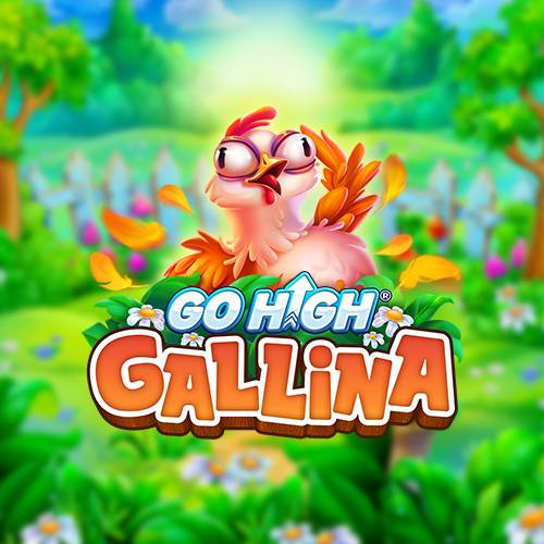 Go High Gallina 