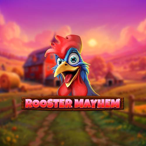 Rooster Mayhem